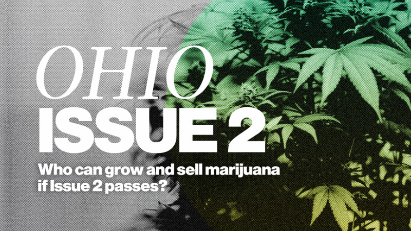 Ohio Issue 2 Passes-But What Does It Mean for Your Community?