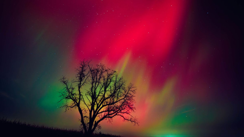 Northern Lights Alert: Will the Aurora Borealis Dazzle Your Skies Tonight?