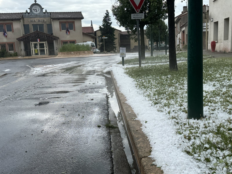 Tyrese Haliburton’s Relationship Status: What’s Really Going On With His Girlfriend?