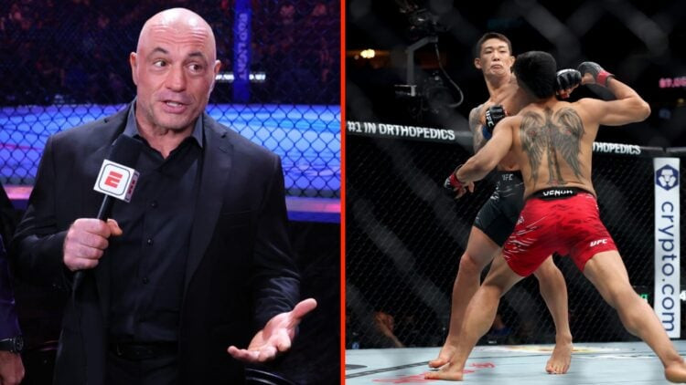 What Connects Conor McGregor, "Korean Zombie," and UFC's Newest Knockout Star? Fans Are Buzzing After UFC 316
