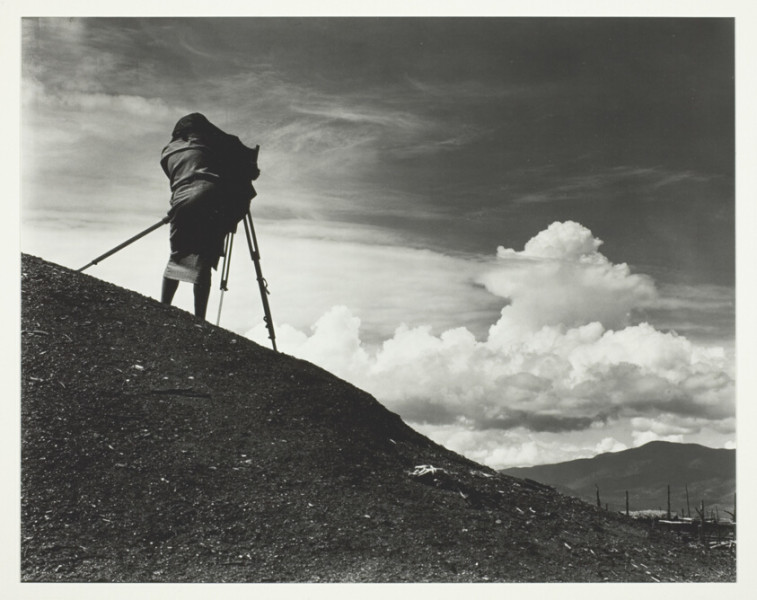 Dick Van Dyke: A Legendary Journey Through the Decades