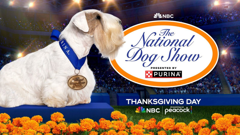 Enjoy the National Dog Show on Thanksgiving 2025: A Canine Extravaganza