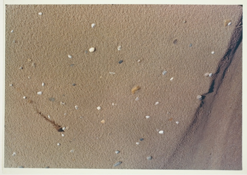 Fruity Pebbles: The Unconventional Love Story of Demi Engemann and Bret Engemann