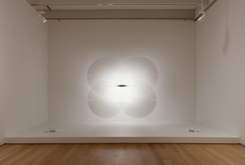 Robert Irwin: The Snake Charmer Unveils Personal Life