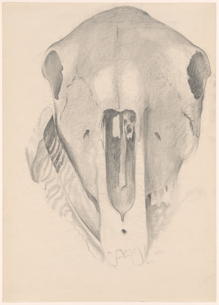 Governor JB Pritzker and the Thanksgiving Turkey: A Lighthearted Look