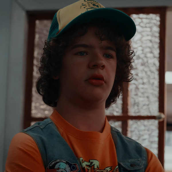 Dustin Henderson's Role in Stranger Things Season 5: Unraveling the Labyrinth of Mysteries