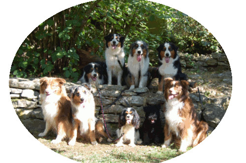 Golden Globes Awards Nominations 2026: A Thrilling Lineup