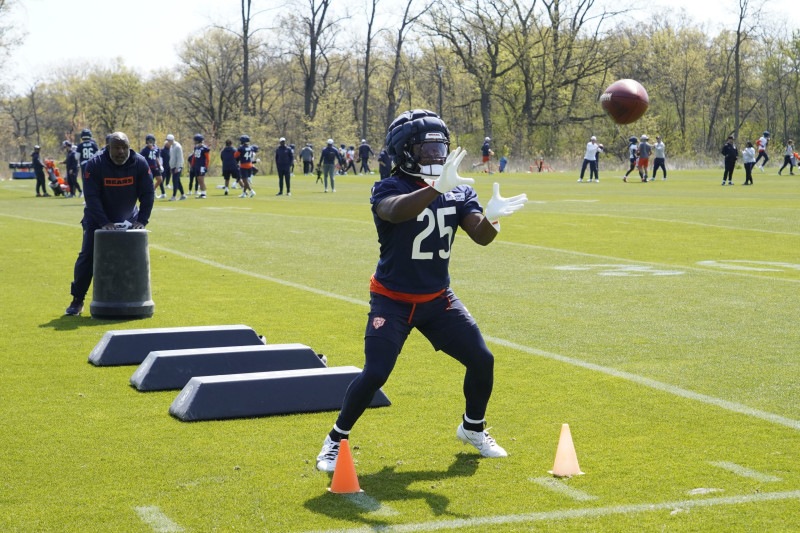 Monangai: The Enigmatic Leader of the Bears