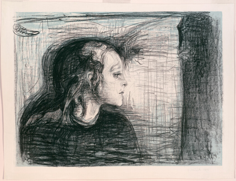 Niall Horan's Current Health Concerns: What's Going On?