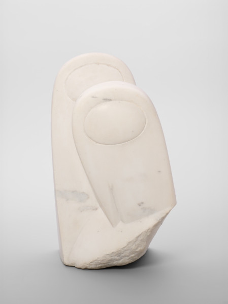 Sharks vs. Penguins: An Intriguing Marine Matchup