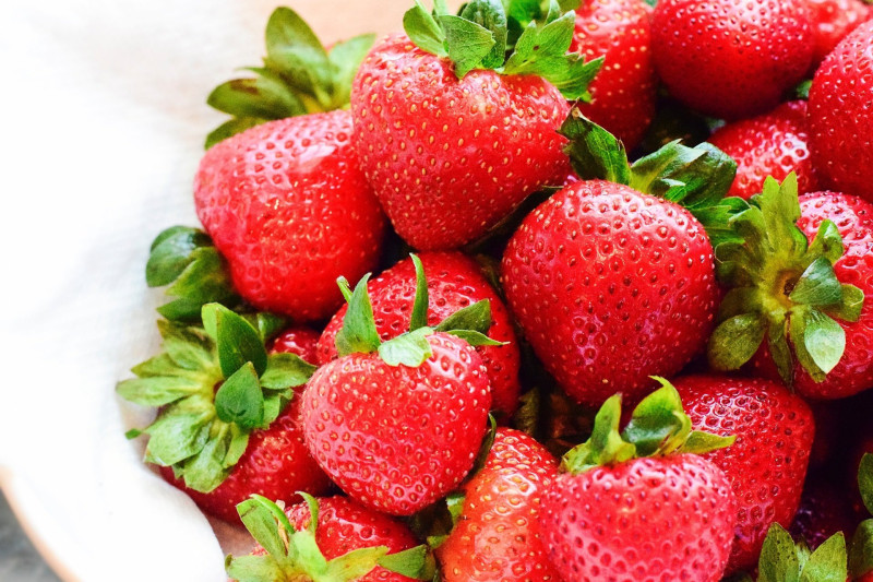 Florida Strawberry Festival 2026: A Celebration of Sweetness and Sunshine