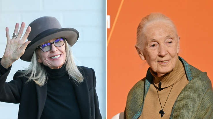 Celebrity Departures in 2025: Remembering Diane Keaton and Jane Goodall