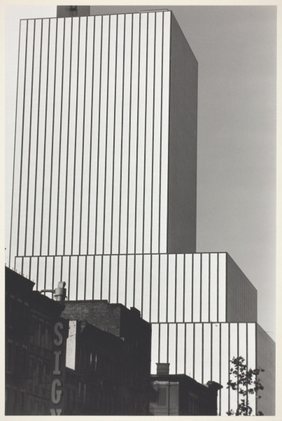 Stranger Things: Does the Conformity Gate Theory Hold Water?