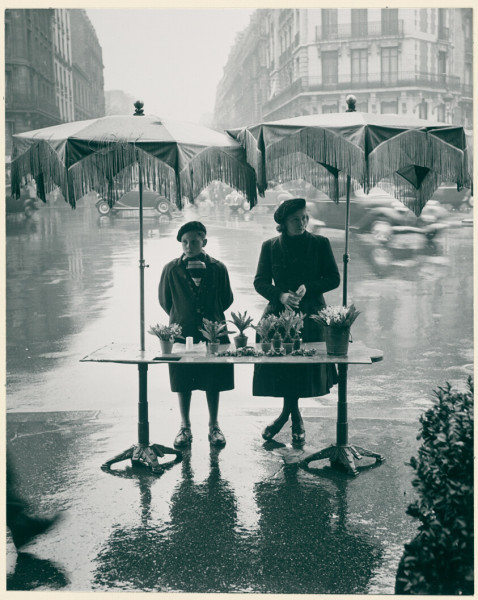 Galatasaray vs Fenerbahçe: Atv Canlı İzle