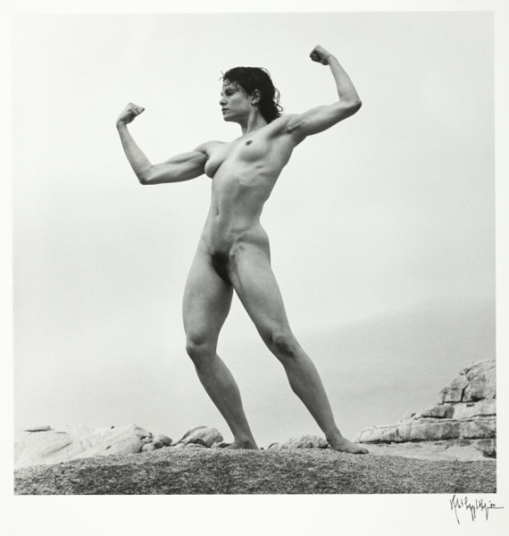 Lyon vs. Stade Brestois: A Thrilling Encounter in Ligue 1