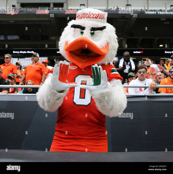 Sebastian the Ibis: The Enduring Spirit of the Miami Hurricanes