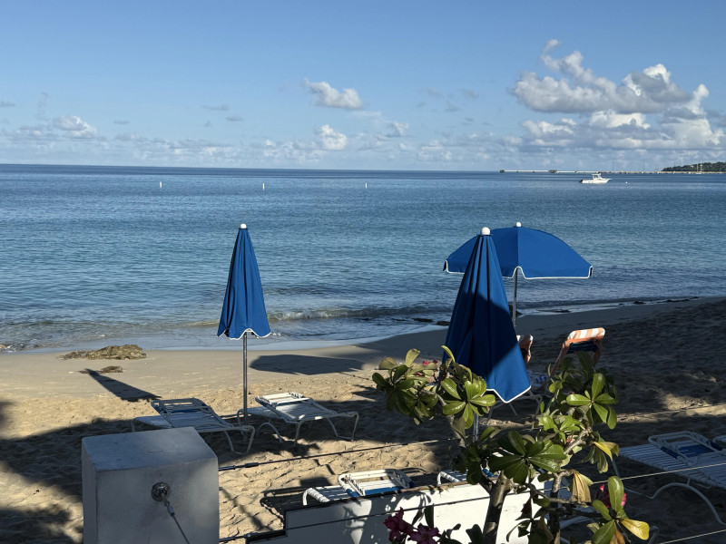 Tragedy Strikes St. Croix: Minnesota Woman Falls Victim to Suspected Shark Attack