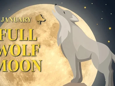 Captivating Celestial Event: The January 2026 Wolf Moon Supermoon