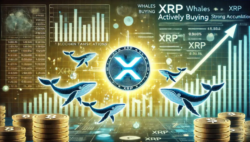 Unlocking the Future: XRP's Latest Developments and Market Dynamics
