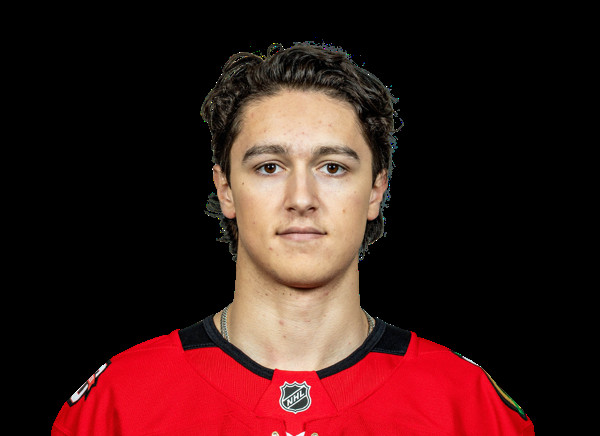 Anton Frondell: The Unsung Hero of the Chicago Blackhawks?