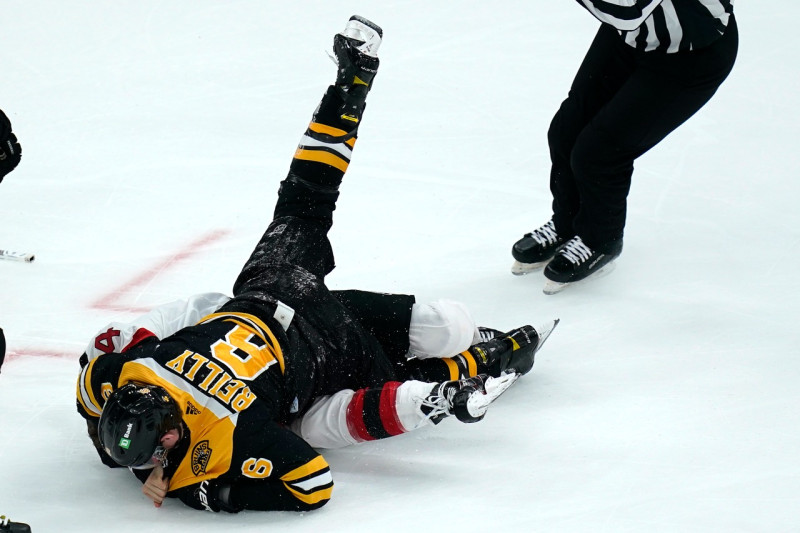 The Bruins Standings: A Wild Card Race to Remember