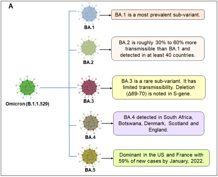 Unmasking the Cicada Threat: Understanding the New Covid Variant BA.3.2 in 2026