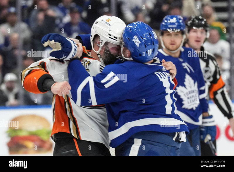 Maple Leafs Target Ducks' Gudas