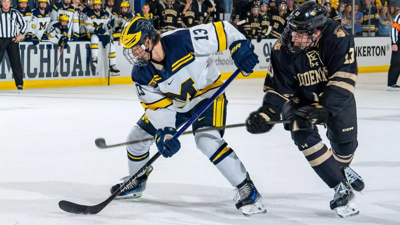 Michigan Hockey: A March Madness Showdown