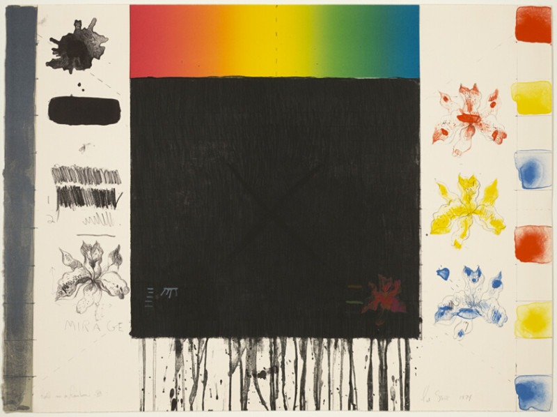 Women's Final Four 2026: The March to Glory