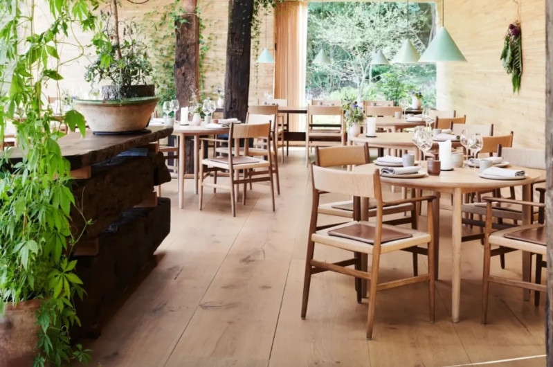 Noma Restaurant: Controversy and Innovation in the Culinary World