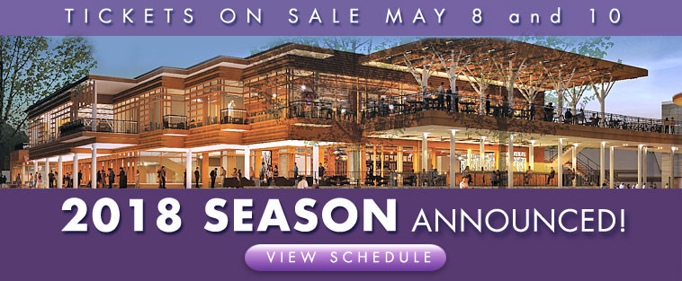 Ravinia Festival Unveils Exciting 2026 Lineup