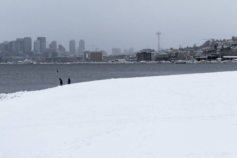Seattle Weather: A Wintry Mix and Active Patterns for Mid-March