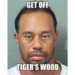 Tiger Woods' Mugshot Sparks Global Frenzy as DUI Arrest Rocks Golf World