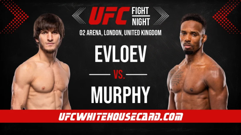 UFC Today: A Glimpse into the Thrilling World of Mixed Martial Arts