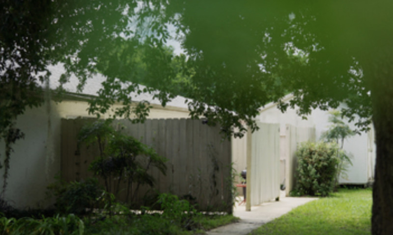 Ajike Owens: A Tragic Tale of Neighborly Conflict