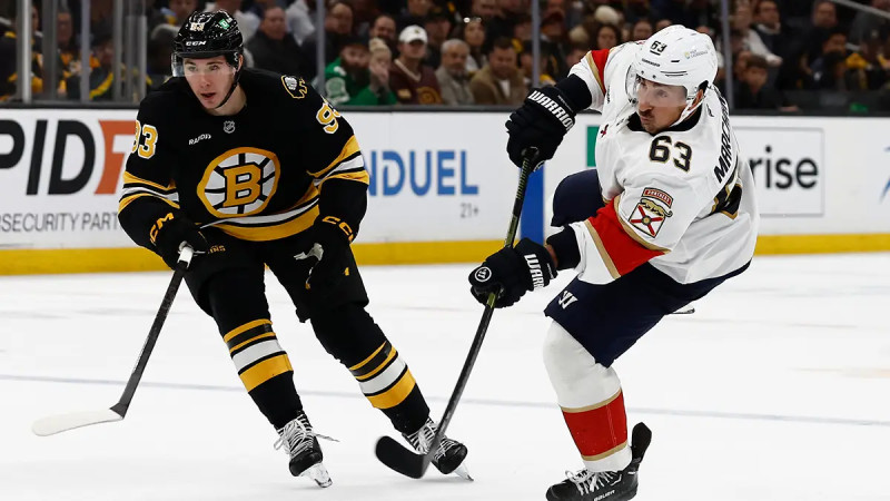 Bruce Panthers Bruins Clash Marches on to the Next Rounds