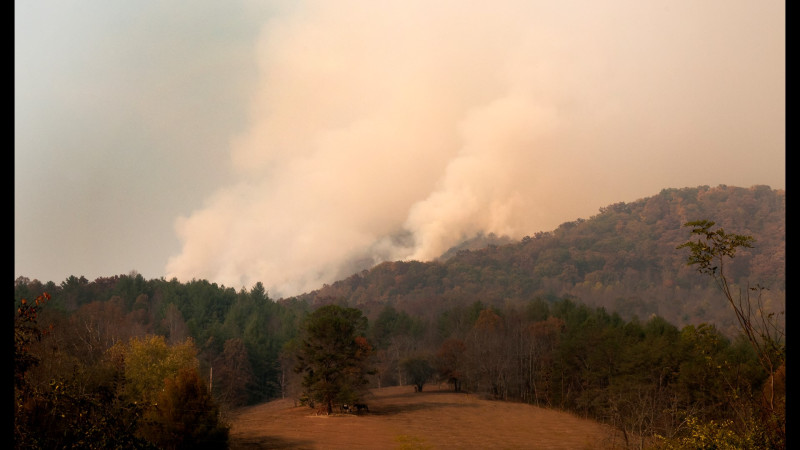 Georgia Fires: A Burning Crisis Across the Peach State