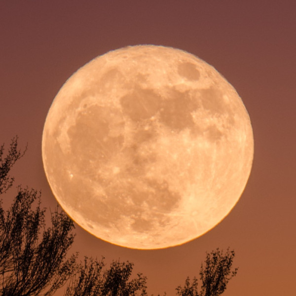 Is Tonight a Full Moon? The Pink Moon of April 2026