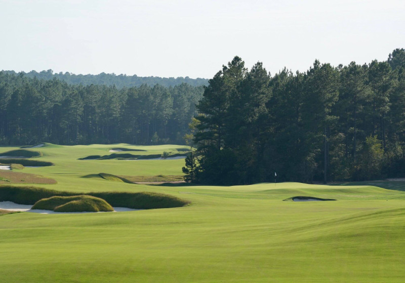 Lacey Nicole Cushman’s Blue Alert: A Shocking Turn in Barnwell County