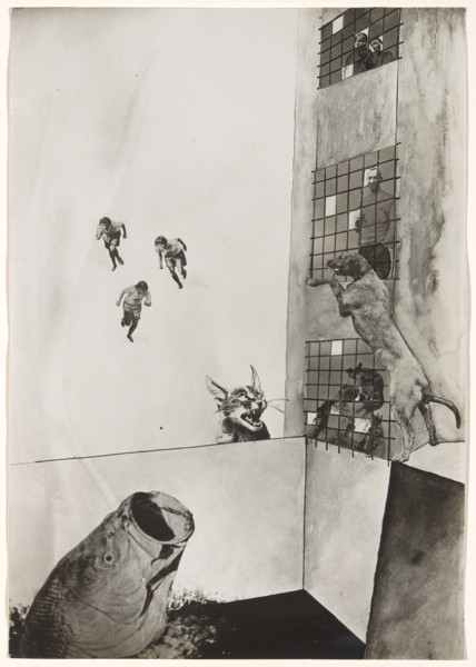 The Lakers vs Mavericks Showdown: Luka’s Homecoming