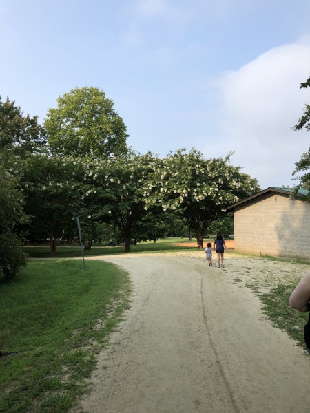 Deadly Showdown at Leinbach Park: The Latest Twists in Winston-Salem Mass Shooting