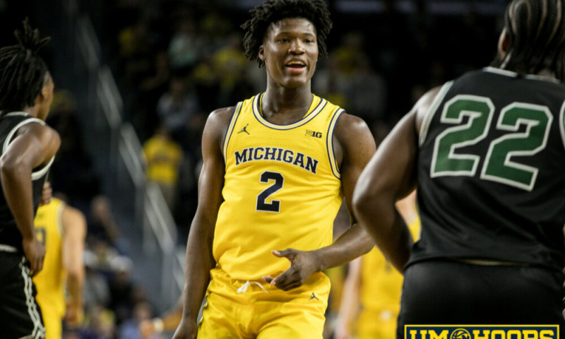 Dissecting the 2025-26 Michigan Basketball Roster Under Juwan Howard