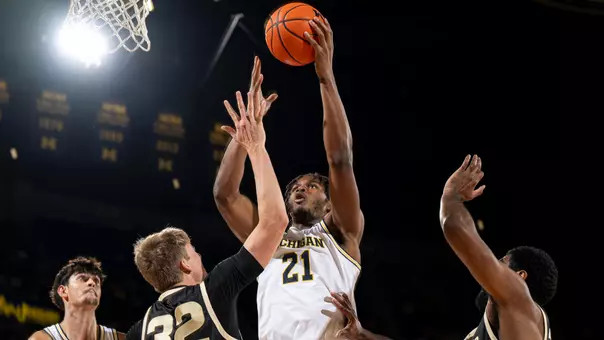 Transfer Portal Basketball: The Michigan Wolverines' Big Gain